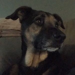 Meet your Posher, Maddie